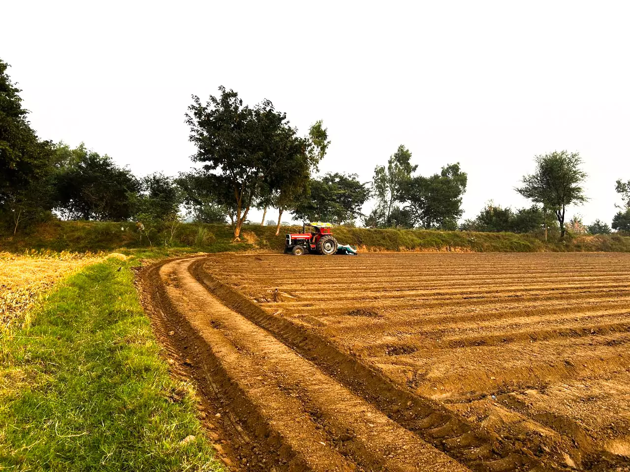 The Science Of Natural Farming